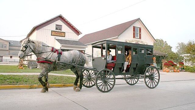 Shipshewana Amish Buggy